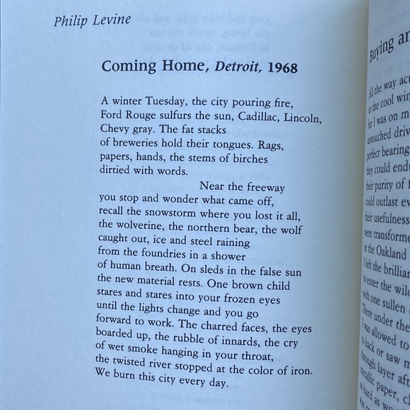 Walk On The Wild Side: Urban American Poetry Since 1975 (paperback) - Picture 5 of 8